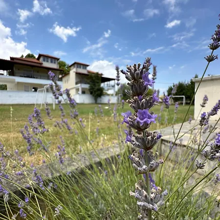 Dimeli 3 Appartamento Litóchoron