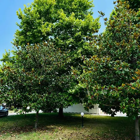 アパート Dimeli 3 リトコロン