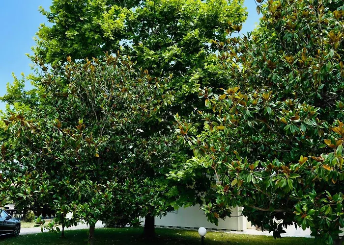 Appartement Dimeli 3 Litochoro